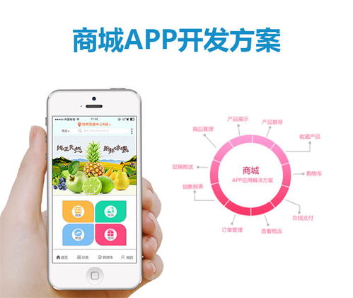 杰里顧客至上 東莞Vue App開發(fā)與全方位技術(shù)服務(wù)